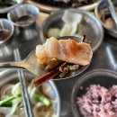 돼지감성 네이버블로그
