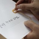 손수짓는세상 이미지