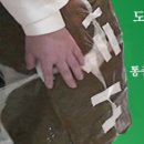 소우주한방병원 이미지