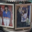 아이비스안경콘텍트 이미지