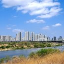 세종시청 후문 이미지
