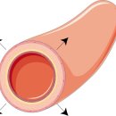 체이스약국 이미지