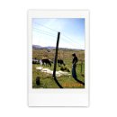 하이츠모텔 | 2025.10 | 뉴질랜드