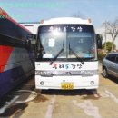 하단동1151 이미지