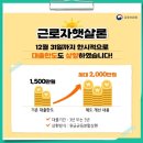 징검다리Ⅱ 이미지