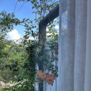 플로렌스펜션 | 경남 하동 섬진강 플로렌스 펜션 방문 후기