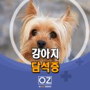 Dr.오즈동물병원 이미지