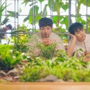 둘 사이 이미지