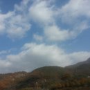 강나루하얀집 네이버블로그