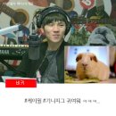 memories(I want to make it warm but it seems funnier...) 이미지