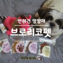 반려견영양제 강아지 브로리코펫 헬시 언박싱 개봉후기 가성비 혜자다~