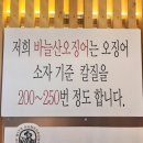 신가바늘산오징어 이미지