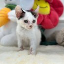 동아당한약방 이미지