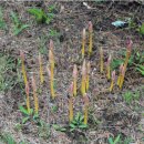 증산초등학교 이미지