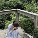 선류산장