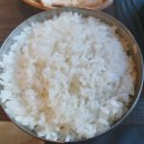 분향동길 | 향동 국밥 맛집 털보돼지국밥