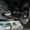 나인에코카 이미지