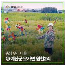 원천2리 네이버블로그
