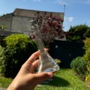 빅토리코리아 | 파리 4박 6일 여행기🚊