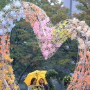 촉촉이네 이미지