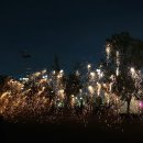 정각3교 | 세종중앙공원 2024 세종낙화축제 후기
