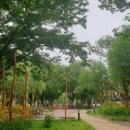 바람새마을 이미지