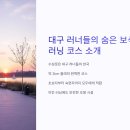 대구 러너들의 핫플! 수성못 러닝 코스 후기