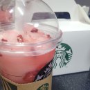 봄여름가을겨울펜션민박 이미지