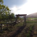 [급매] 대구 30분 거리 경산 103평 전원주택부지 9900만원 이미지