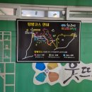 청수 곶자왈 | 제주 서쪽 6월 /청수 곶자왈 반딧불이 축제 a코스 후기
