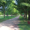 국토종주자전거길1-8 이미지