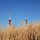 호계공설시장 이미지