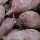 으뜸농장 이미지