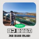 달성습지 생태 학습관 | [대구 아이 체험] 달성습지생태학습관, 겨울 철새를 만나요