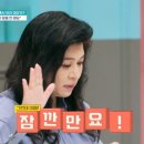 스테이 댕댕 이미지