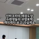 인하코리아태권도장 네이버블로그