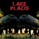 플래시드인 이미지