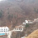 성천펜션 네이버블로그