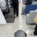 러피네일