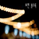 제이오와이 이미지