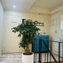 서초대로30길 12 이미지