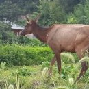 나주2농장 이미지