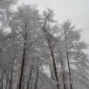 다목1리 이미지