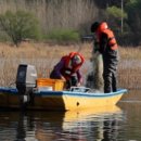 섬바위가든 이미지