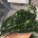 텔레파시 인터네셔널 이미지