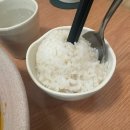 [역삼 맛집] 🍛 역삼 돈까스해에서 맛본 카레우동 돈까스 후기 🥢