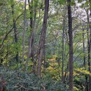 캠핑파크 이미지