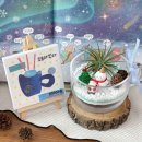 그림책 꽃 피었네 | [공지] [민간자격증] 아이와 그림책, 꽃을 좋아한다면? 그림책꽃놀이전문가 과정, 키즈플라워 민간...