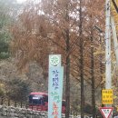 대전 장태산 자연휴양림 인터뷰카페 늦은 오후 방문 후기