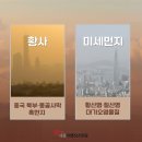 세종이엠365의원 이미지